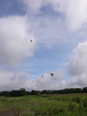 s-R0018796.jpg