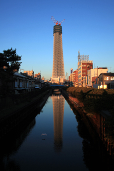 20100126_0700.jpg