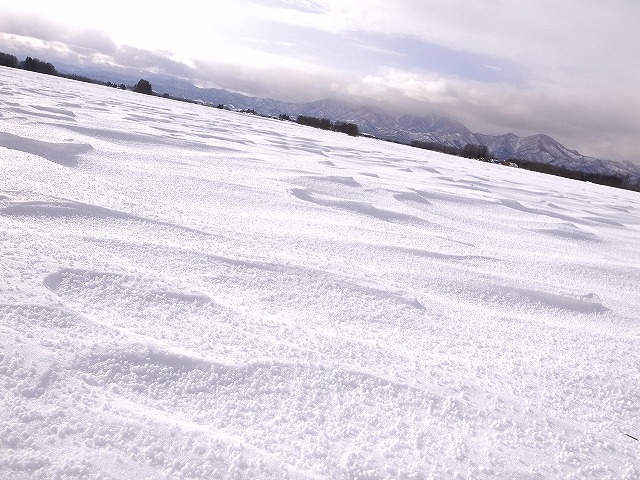 s-1111R0014916.jpg