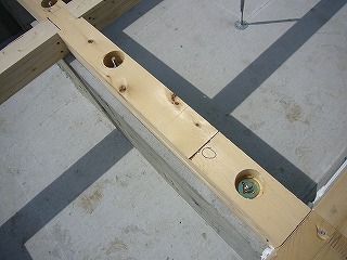 s-P1030707.jpg
