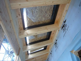 s-P1030760.jpg