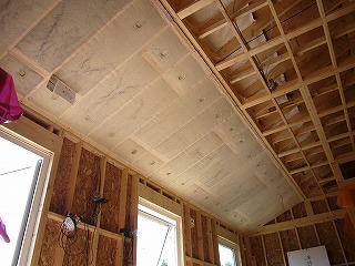 s-P1040110.jpg