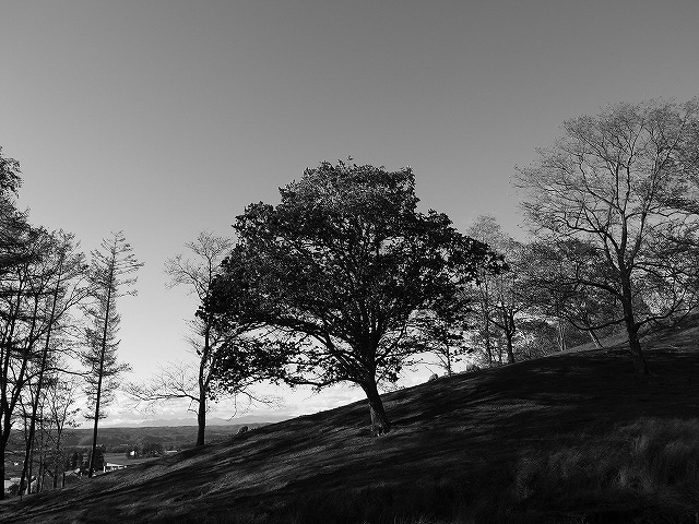 s-R0011572.jpg