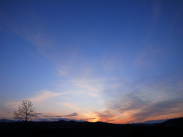 s-R0013740.jpg