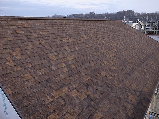 s-R0013783.jpg