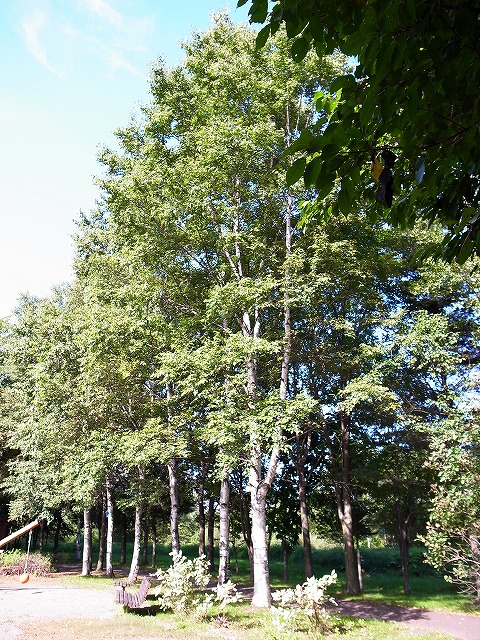 s-RIMG0004.jpg